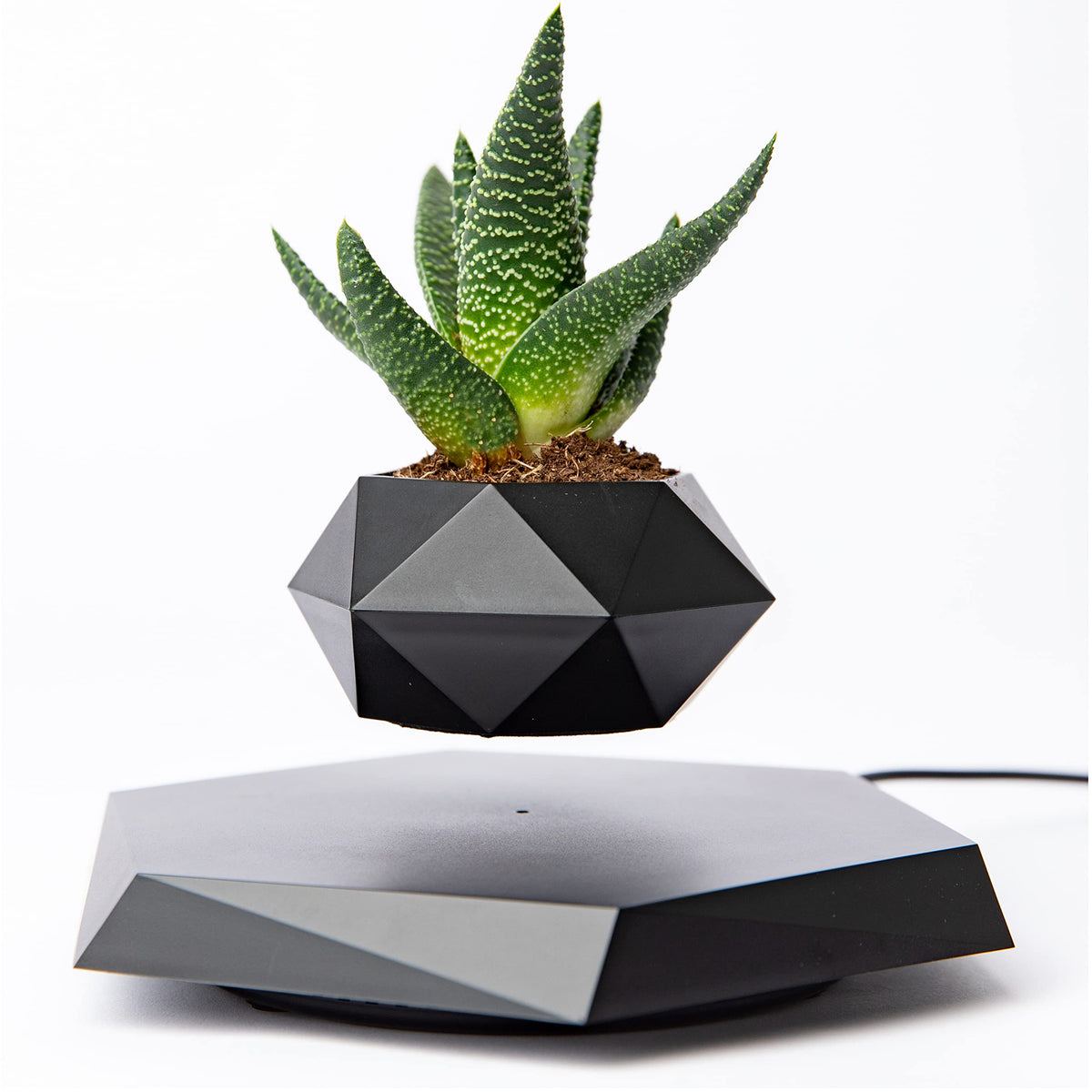 BandDlevs floating pot with bonsai demonstrates a levitating display for stylish decor.