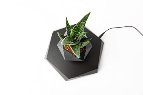 BandDlevs floating pot gift idea for plant lovers and tech enthusiasts.