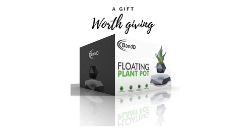 BandDlevs floating pot modern decor centerpiece for living rooms and receptions.