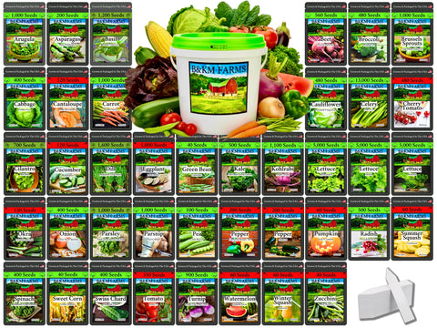 B&KM Farms 25,000-seed vault with diverse heirloom varieties for home gardens.
