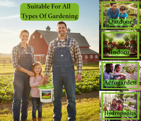 B&KM Farms microgreen grow guide highlights fast, compact harvest opportunities.