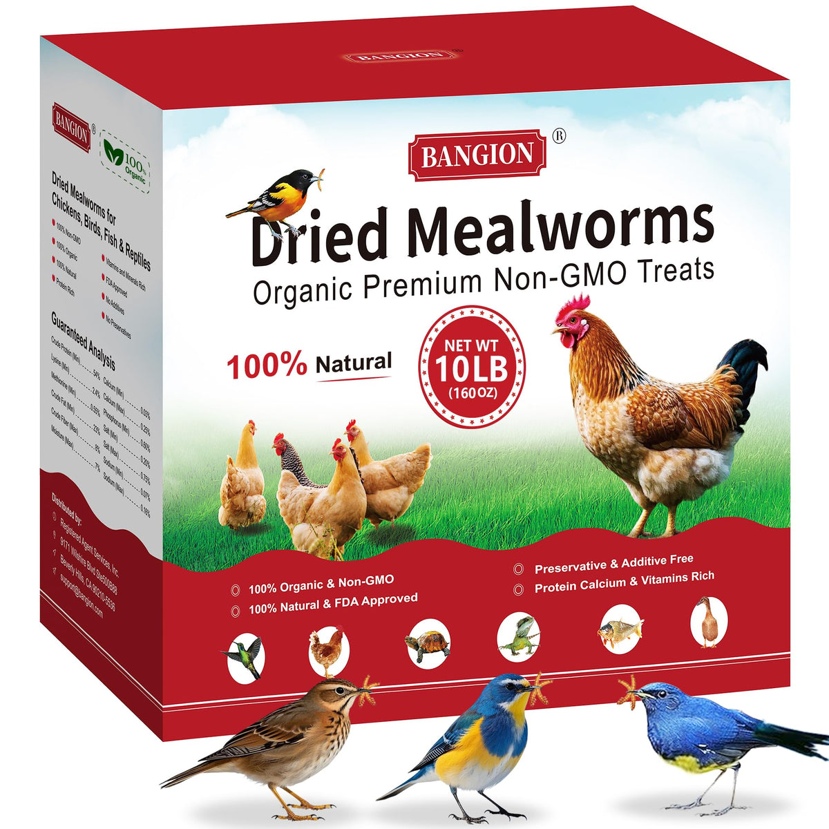 BANGION dried mealworms 10lbs bag front view, protein boost for chickens.