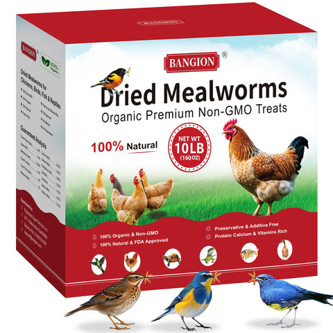 BANGION dried mealworms 10lbs bag front view, protein boost for chickens.
