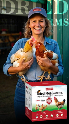 BANGION dried mealworms 10lbs bag side view, convenient poultry supplement.
