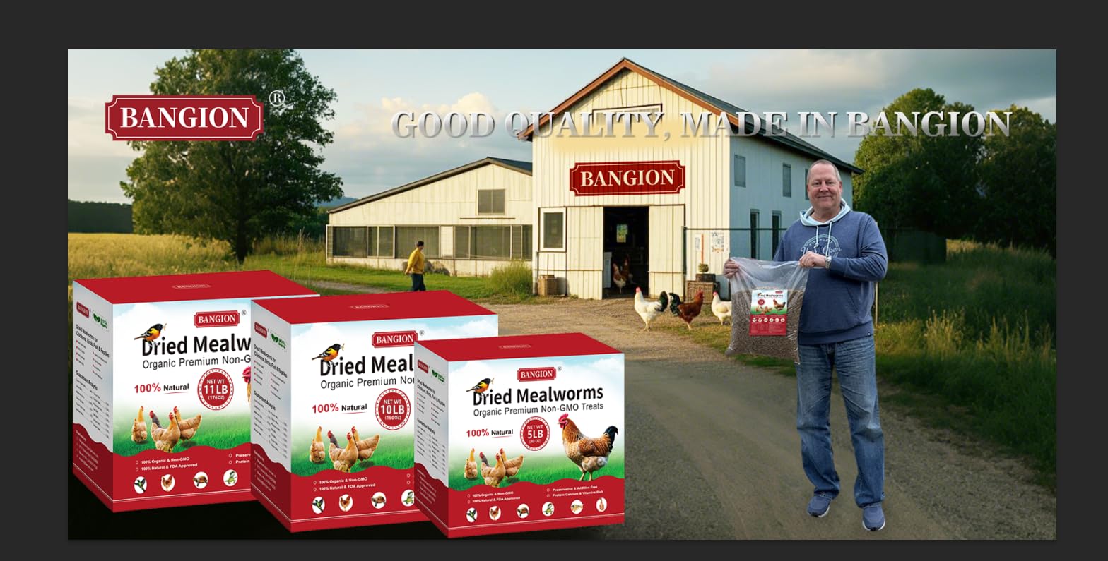 BANGION dried mealworms closeup texture, high protein snack for birds.