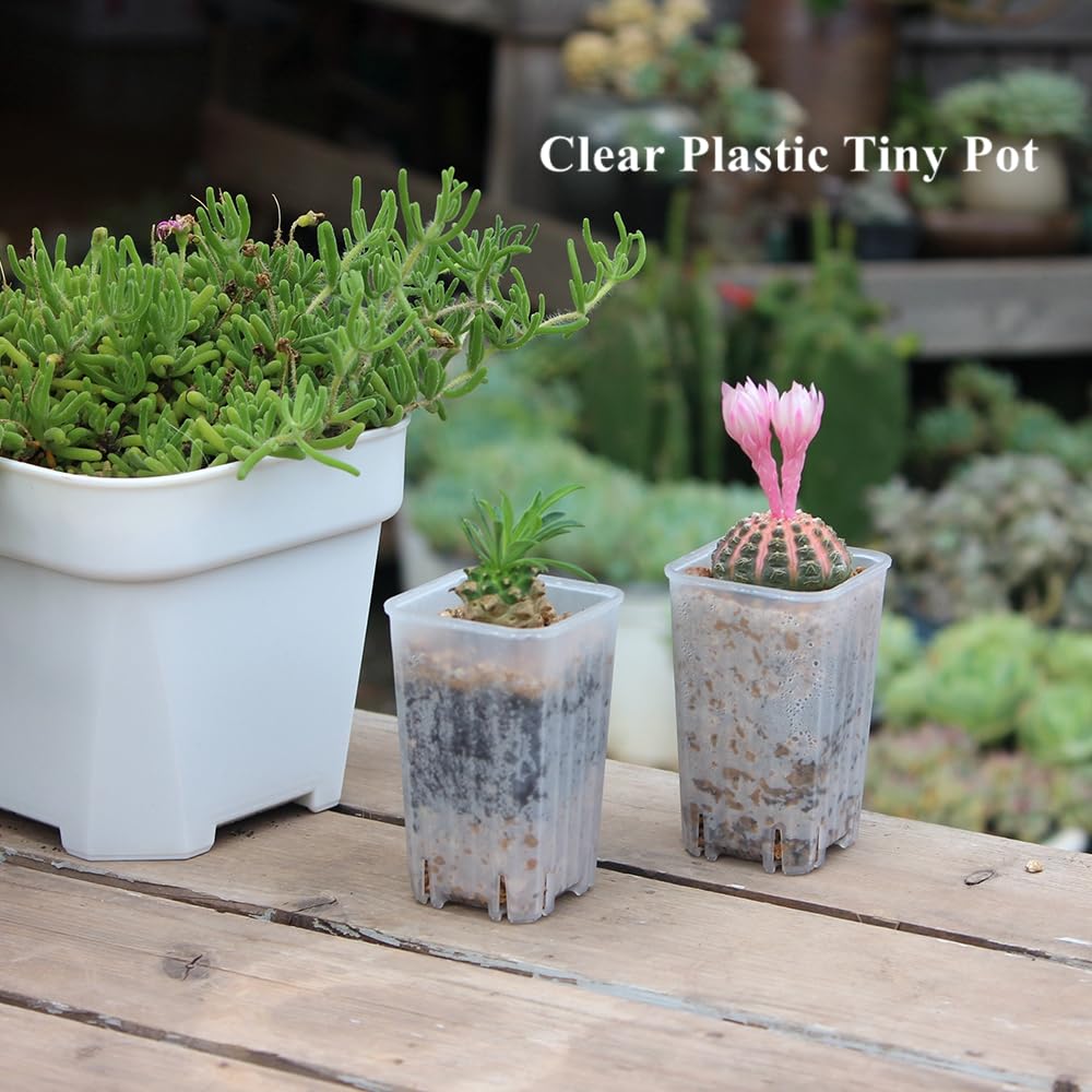 BangQiao 180-pack deep 3.15-inch height supports deeper root growth
