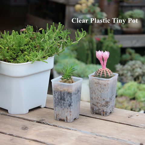 BangQiao 180-pack deep 3.15-inch height supports deeper root growth