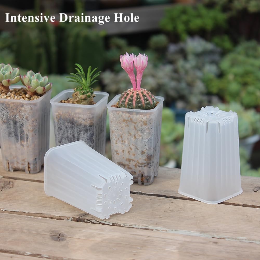 BangQiao 180-pack inside view highlights transparent walls for monitoring soil and root development