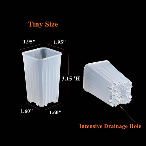 BangQiao 180-pack side view clear plastic nursery pot shows compact, stackable design for space-saving