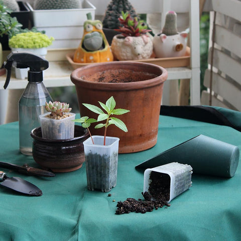 BangQiao 180-pack stackable design enables organized seedling trays and efficient bench layout