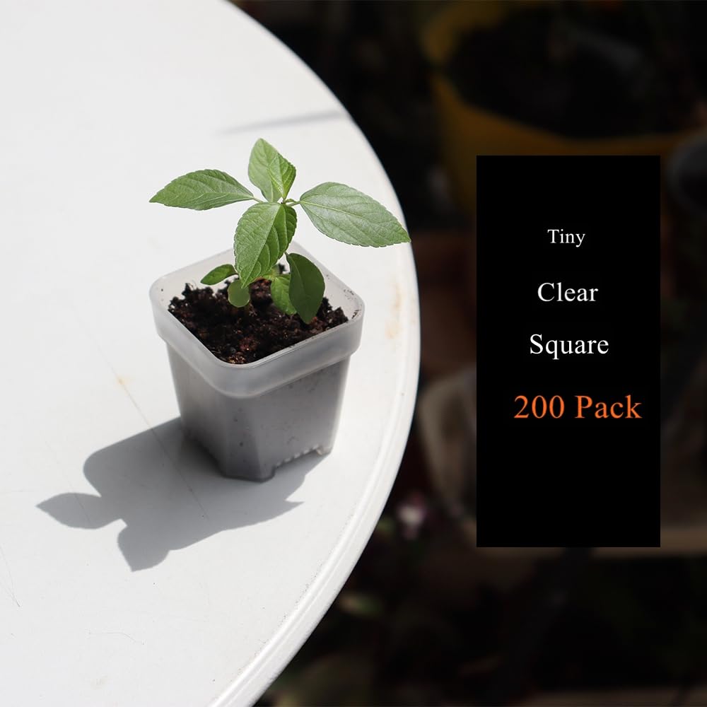 BangQiao seedling pots for compact garden setups and space efficiency.