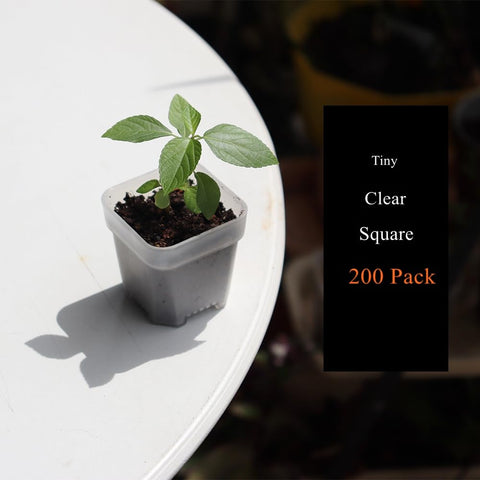BangQiao seedling pots for compact garden setups and space efficiency.