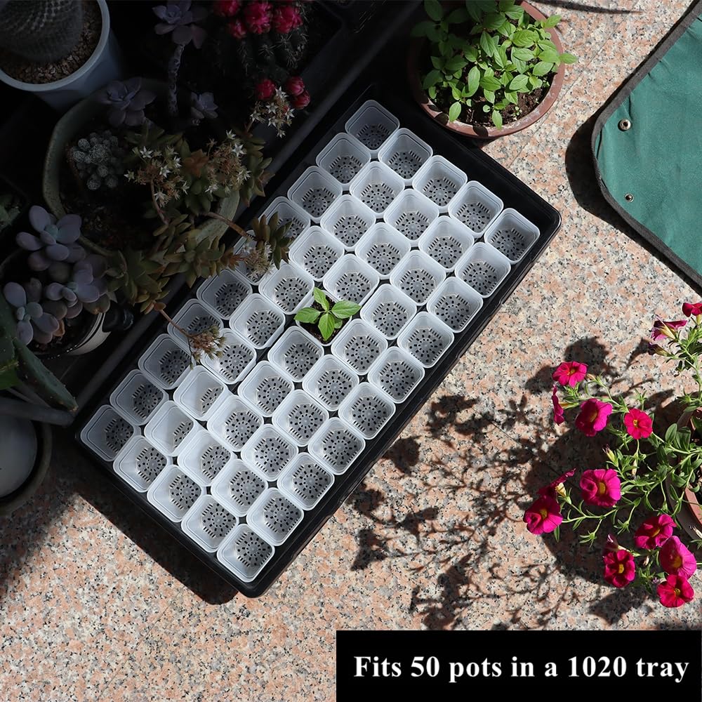 BangQiao neat nursery pot lineup for trays and organized growing.