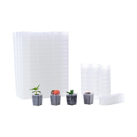 BangQiao 300-pack tiny clear square pots, top view for seed starting visibility.
