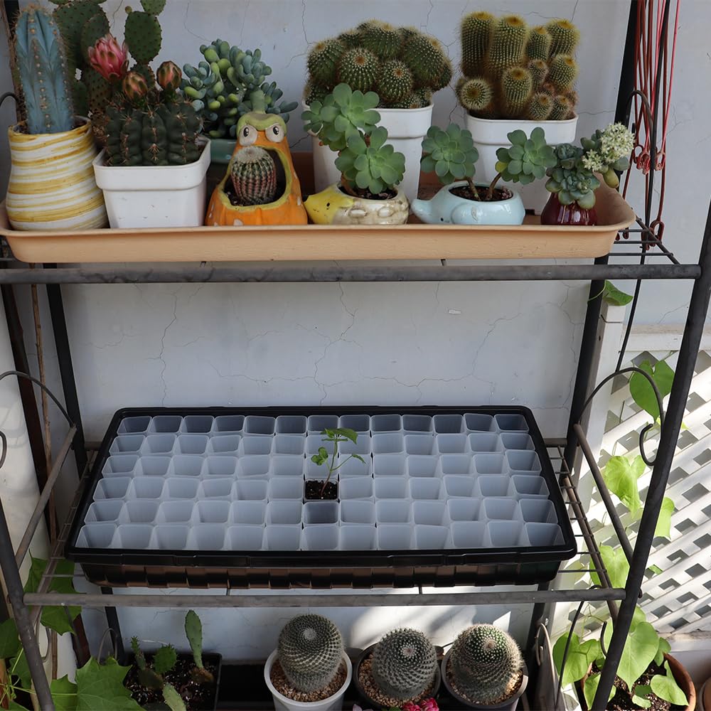 BangQiao compact nursery pot for tiny plants.