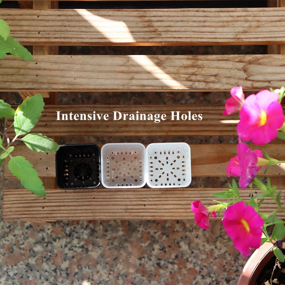 BangQiao pot bottom drain holes promote airflow and drainage.