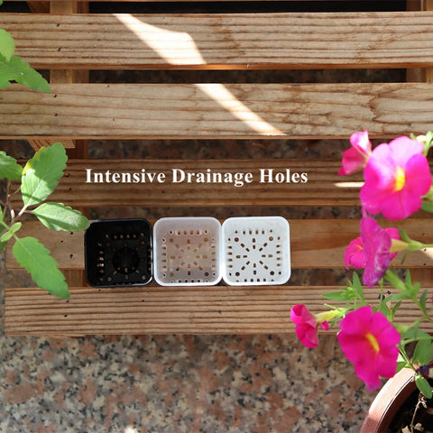 BangQiao pot bottom drain holes promote airflow and drainage.