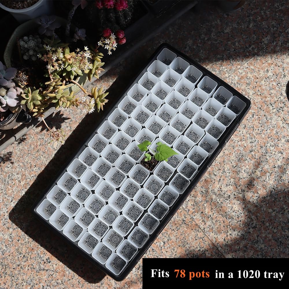 BangQiao mini transplant pot for herbs and succulents.