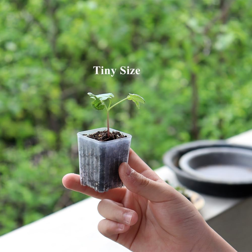 BangQiao square pot lip design for easy alignment.