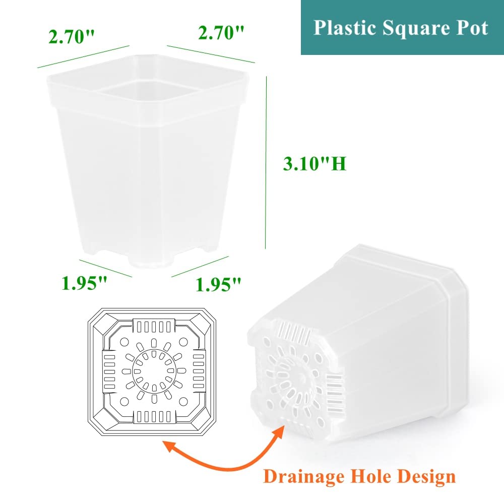 BangQiao transplant square pot in clear plastic supports easy repotting.