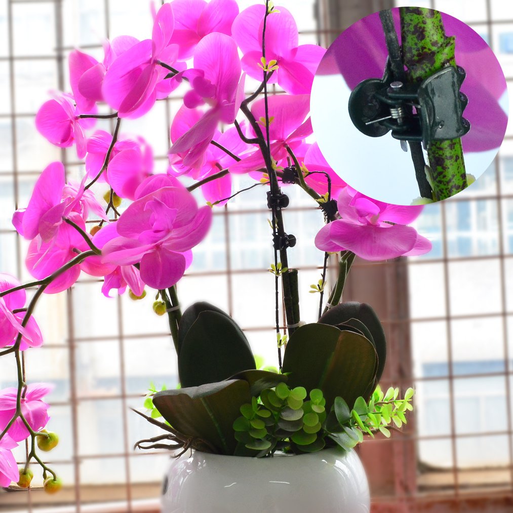 Baotongle orchid support clip stabilizes delicate stems without damage.