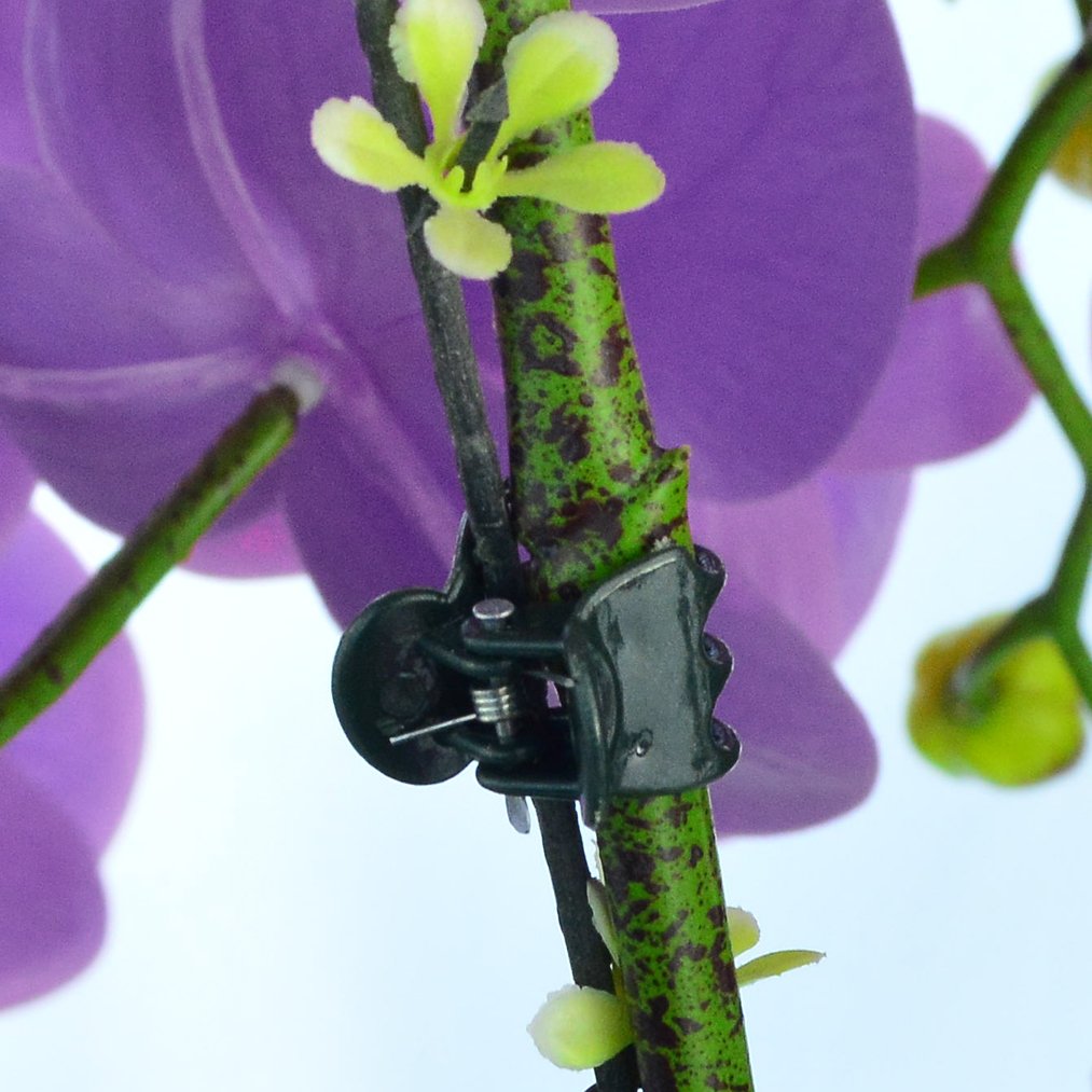 Baotongle clips for indoor/outdoor use resist weather and corrosion.