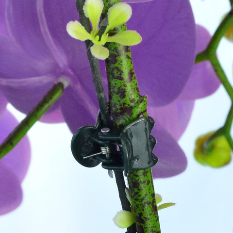Baotongle clips for indoor/outdoor use resist weather and corrosion.