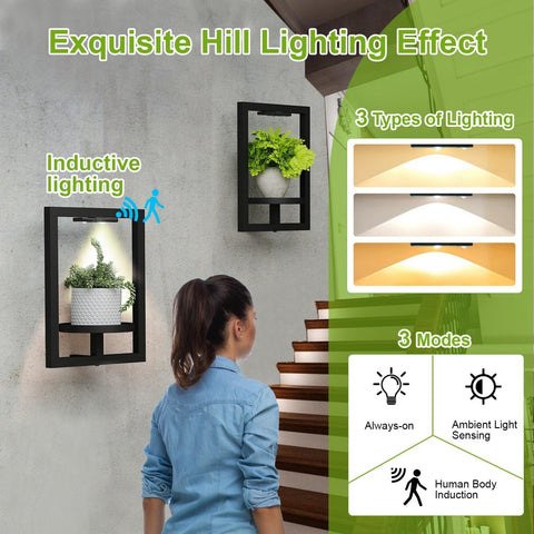 BAOYOUNI easy-assembly wall frame with video manual for setup.