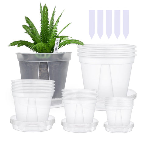 Barafat orchid pot 4-inch clear with saucer showing drainage for healthy seedlings.