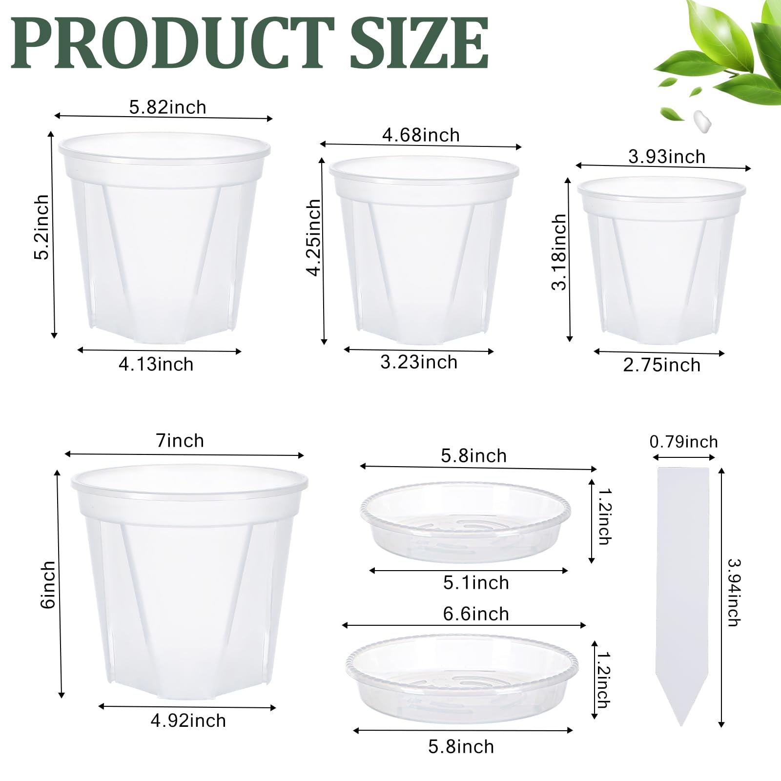 Barafat orchid pot 6-inch clear with saucer for multiple plant batches.
