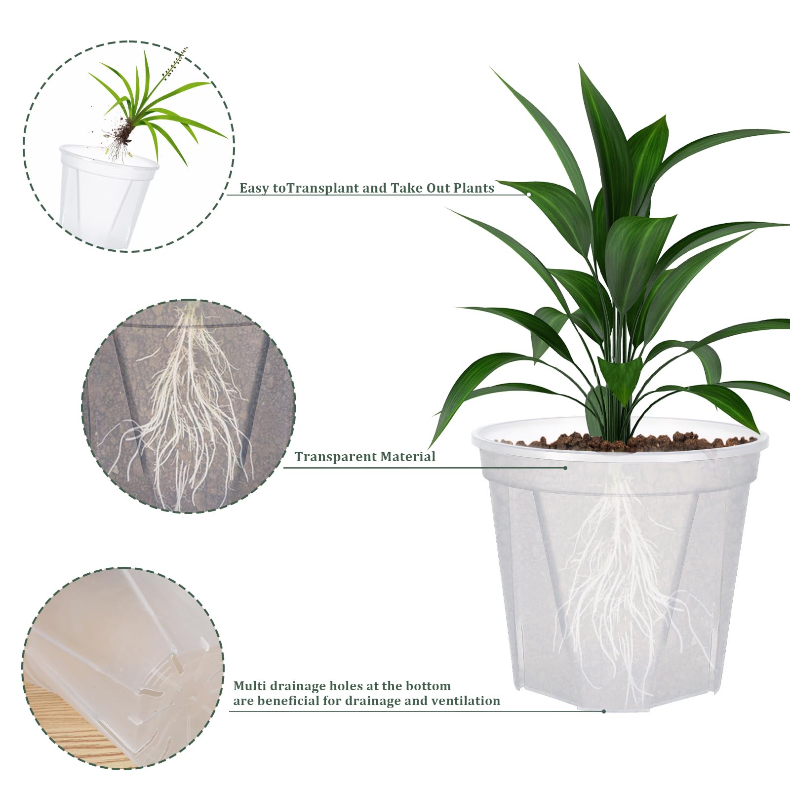Barafat 100 plant labels for easy plant tracking.