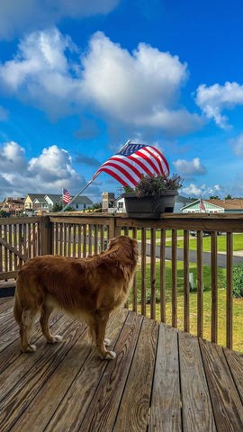 Barcetine flag pole designed for porch, vehicle, and watercraft setups.