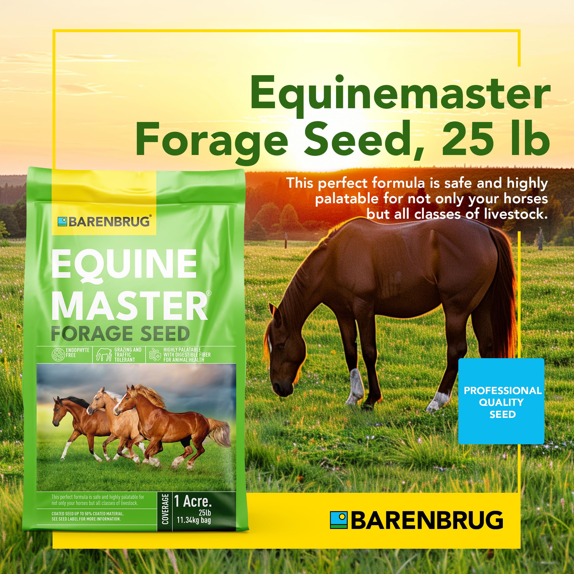 Barenbrug Pasture Seed field-establishment shows quick, reliable germination for new pastures.
