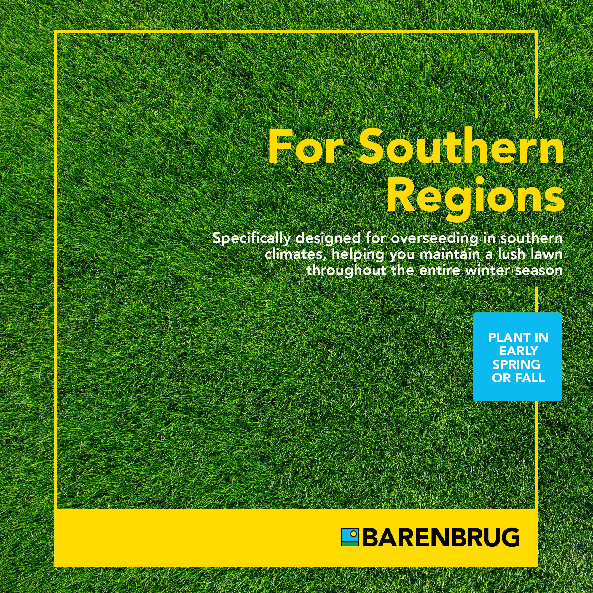 Barenbrug Wonderlawn lush, vibrant lawn aesthetics with low maintenance