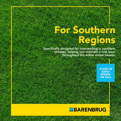Barenbrug Wonderlawn lush, vibrant lawn aesthetics with low maintenance