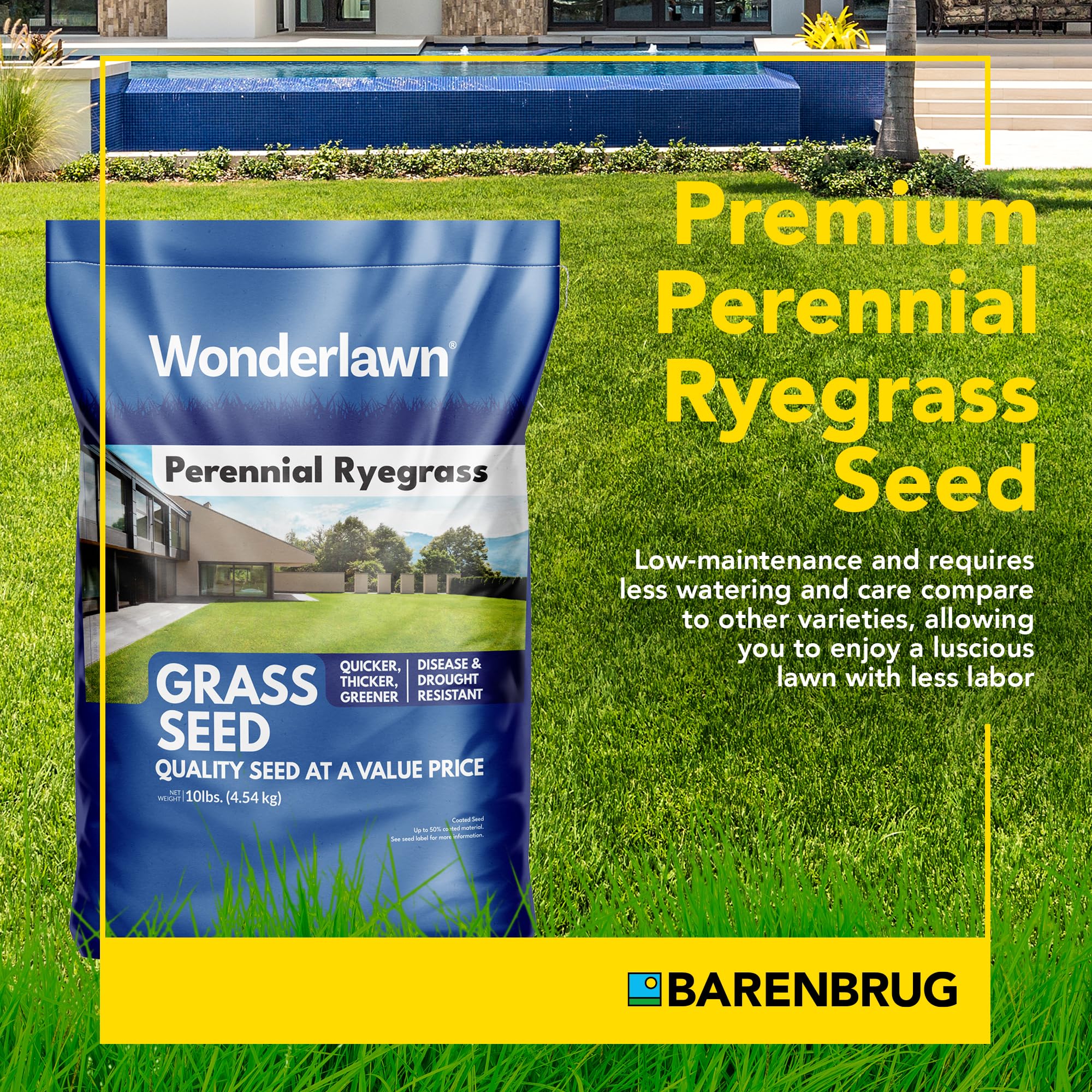 Barenbrug Wonderlawn overseeding in southern climates for year-round color