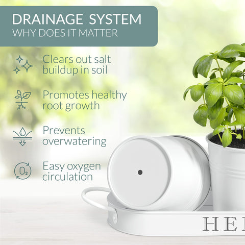 Barnyard Designs 4.25 inch wide herb pot compact and stylish for small spaces