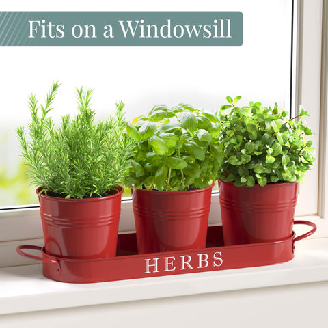 Barnyard Designs brick-red planters pair with herbs for a compact kitchen garden