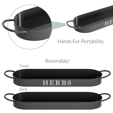 Barnyard Designs 4.25 inch wide pots offer compact spacing for herbs.