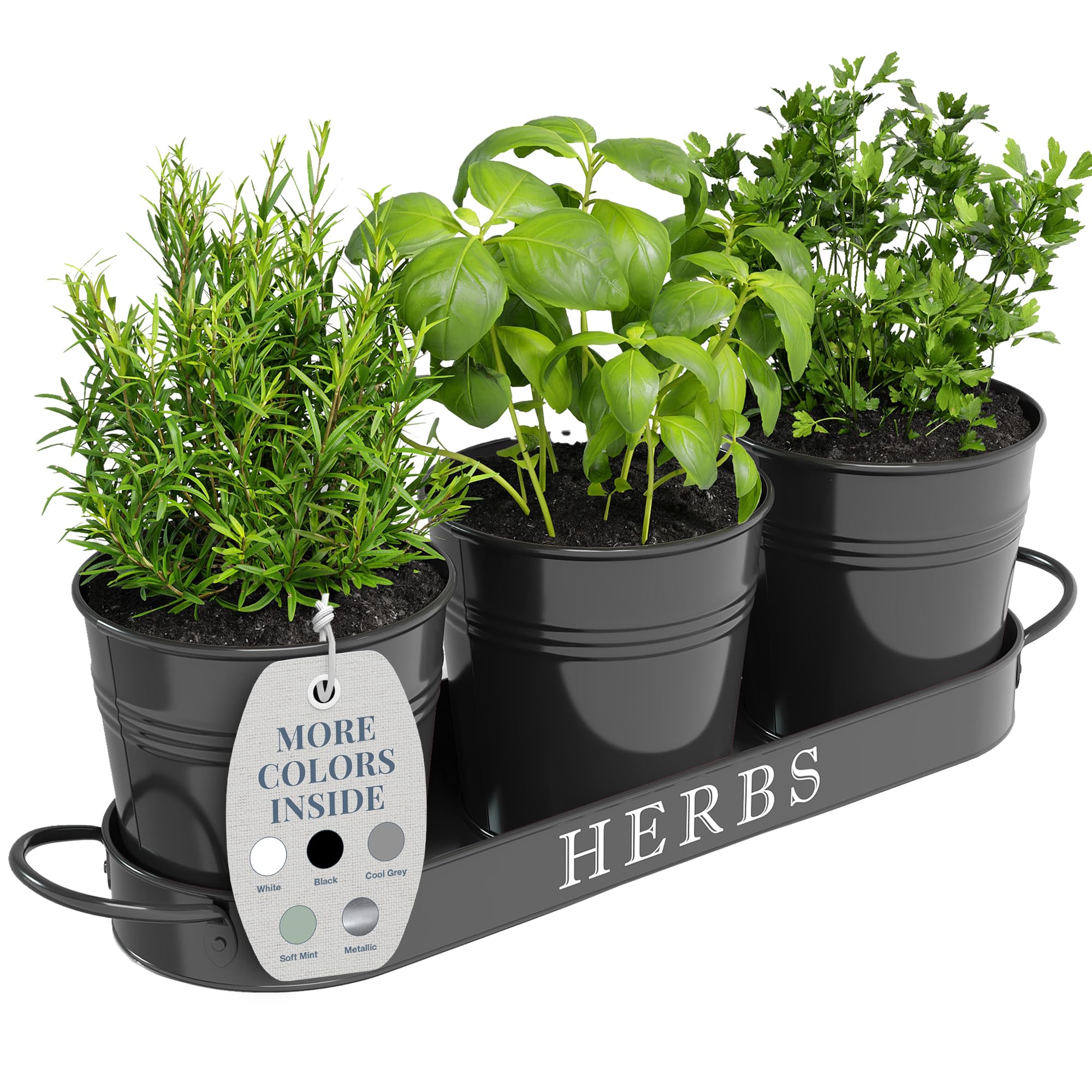 Barnyard Designs indoor herb planter set with tray in black, ideal for kitchen herbs.