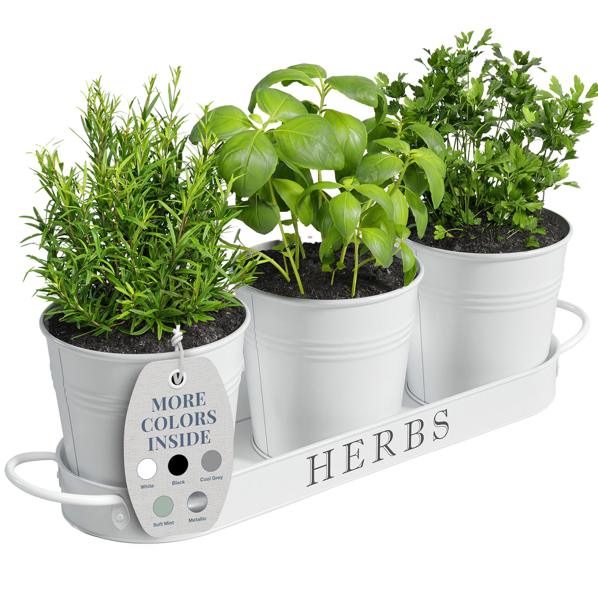 Barnyard Designs indoor herb planter set with tray in matte white for kitchen counter herb display