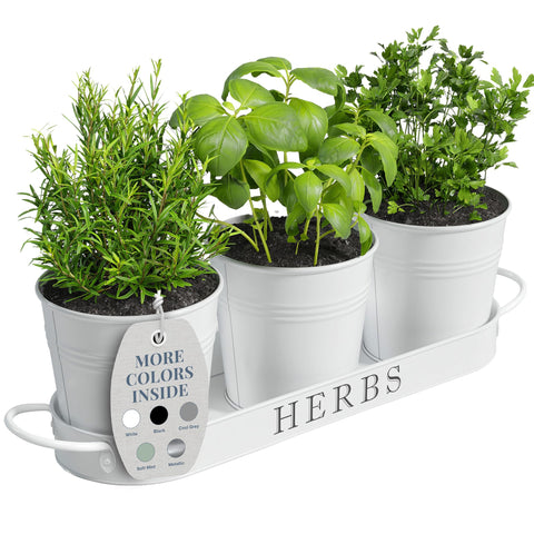 Barnyard Designs indoor herb planter set with tray in matte white for kitchen counter herb display