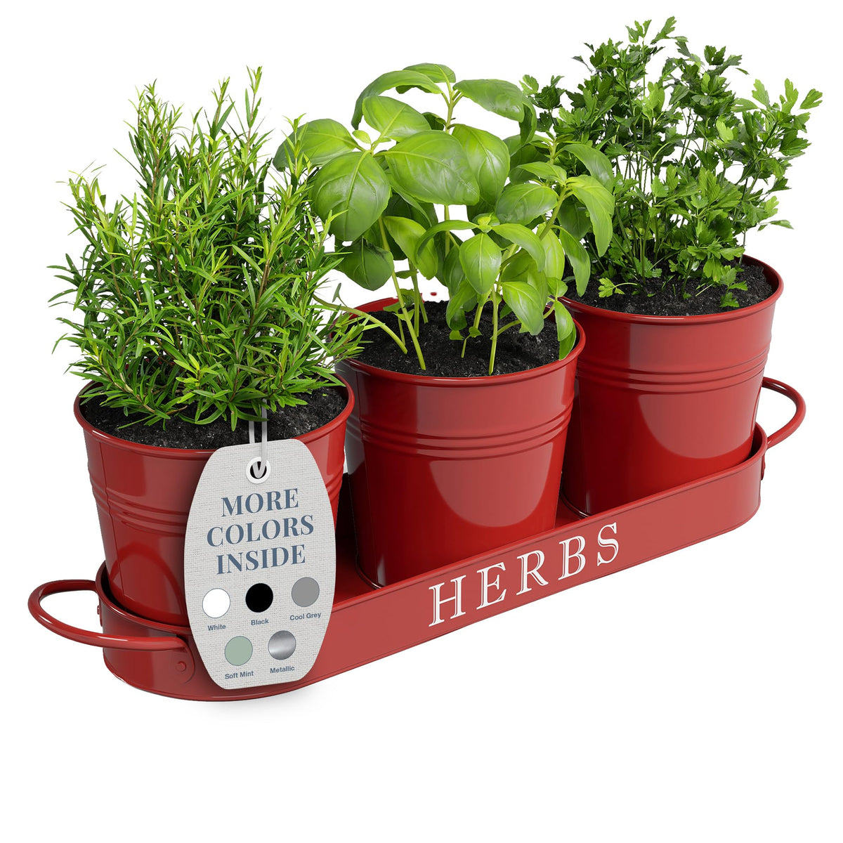 Barnyard Designs indoor herb planter with tray on a sunny kitchen counter for easy herb access