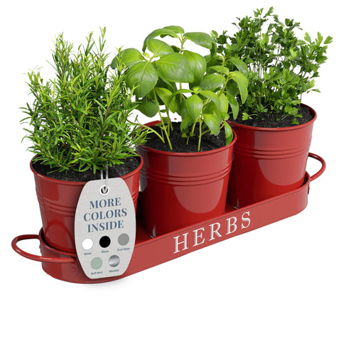 Barnyard Designs indoor herb planter with tray on a sunny kitchen counter for easy herb access