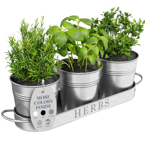 Barnyard Designs indoor herb planter set with tray for kitchen windowsill use.