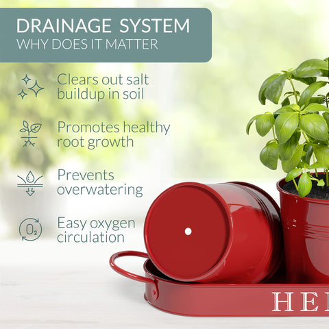 Barnyard Designs kitchen counter setup with planters ready for fresh herbs