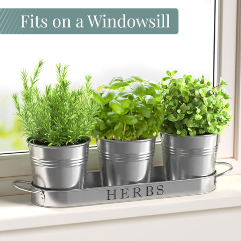 Barnyard Designs rustic indoor-outdoor herb pot with drainage.