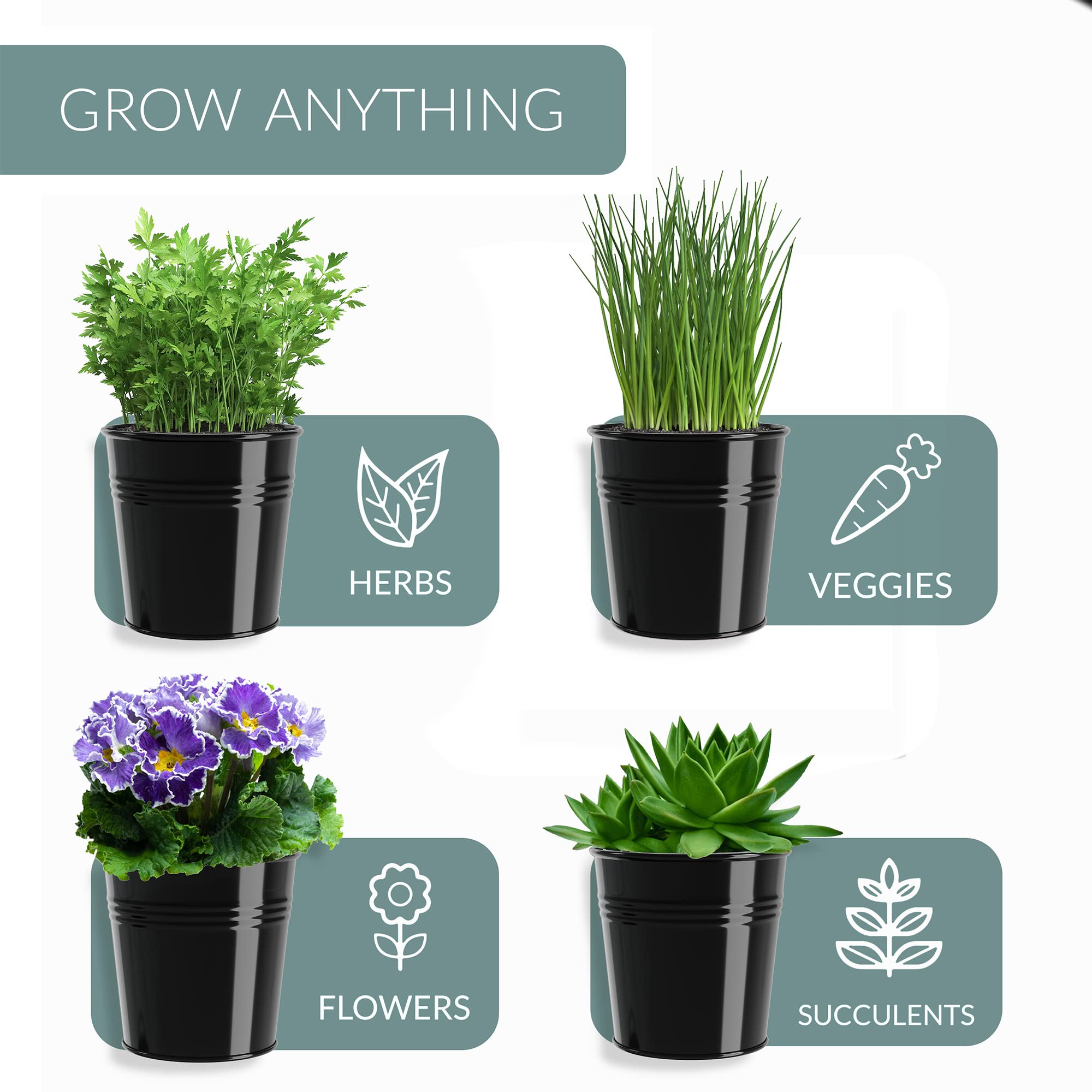 Barnyard Designs rustic metal planter elevates herb rows with a chic, vintage vibe.
