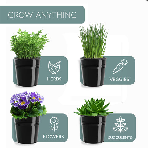 Barnyard Designs rustic metal planter elevates herb rows with a chic, vintage vibe.