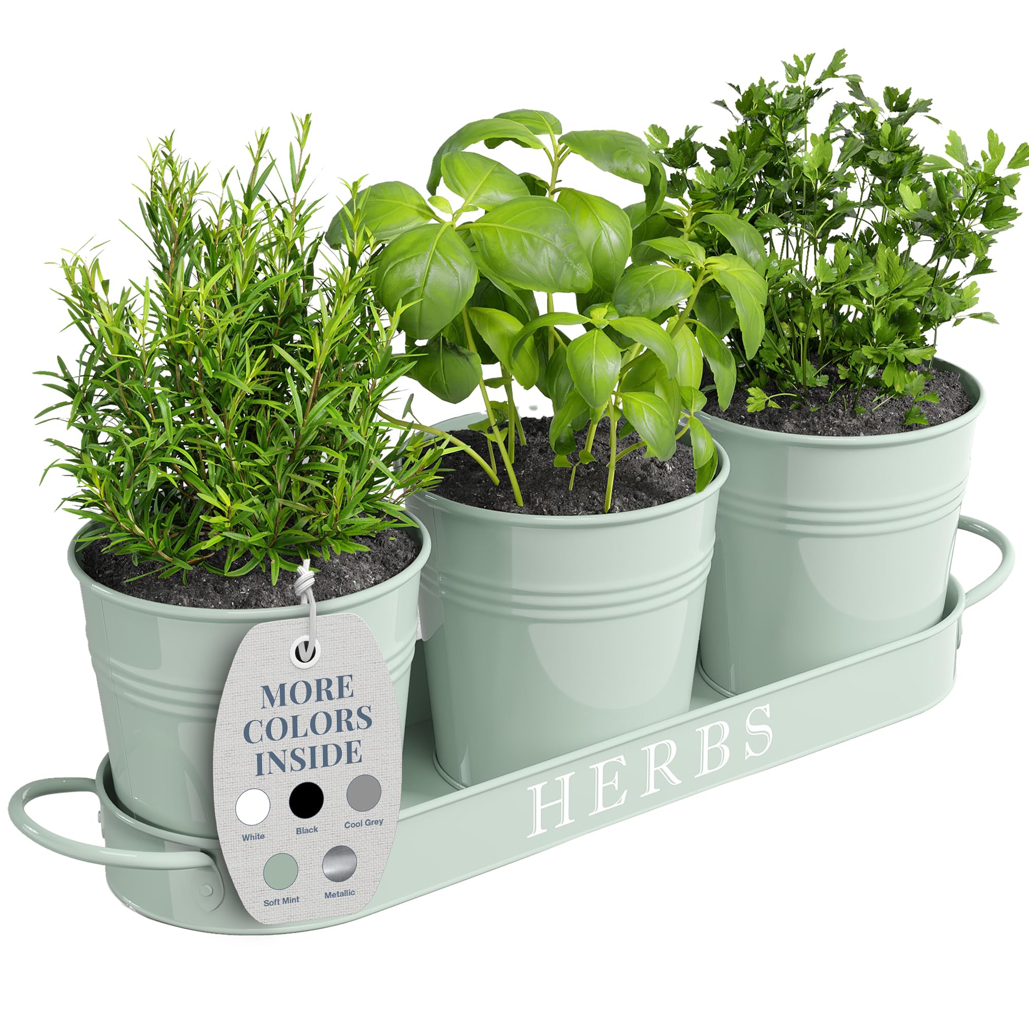 Barnyard Designs soft mint indoor herb planter set on a window sill, ideal for fresh herbs